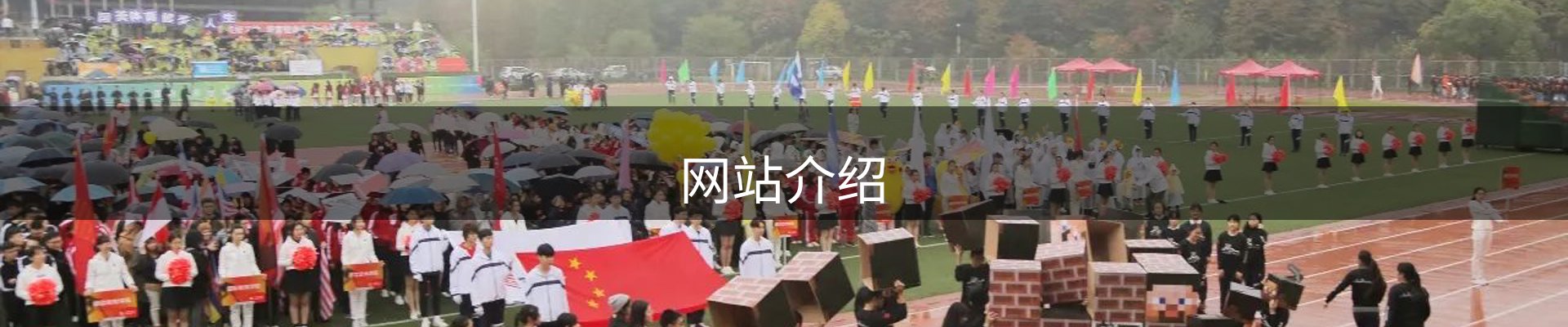 网站介绍